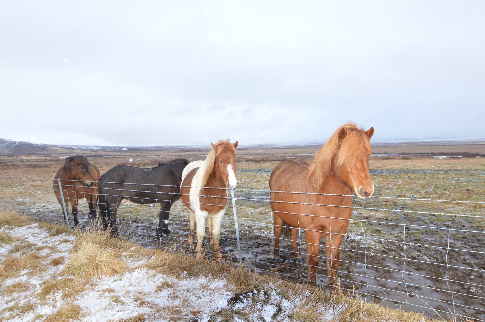 A Weekend Getaway to Iceland