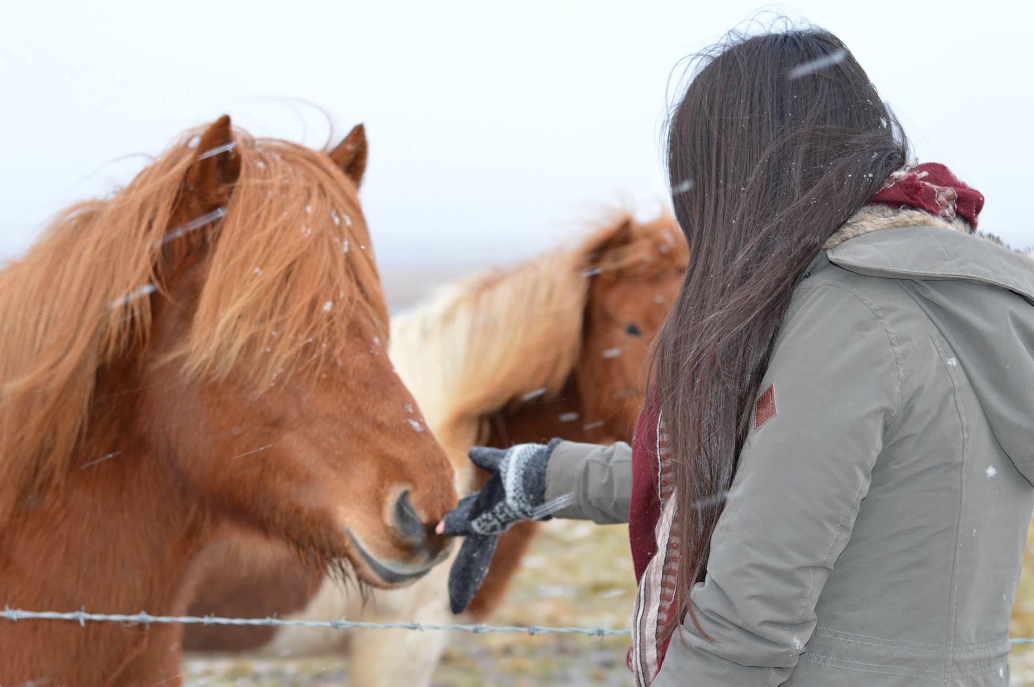 A Weekend Getaway to Iceland