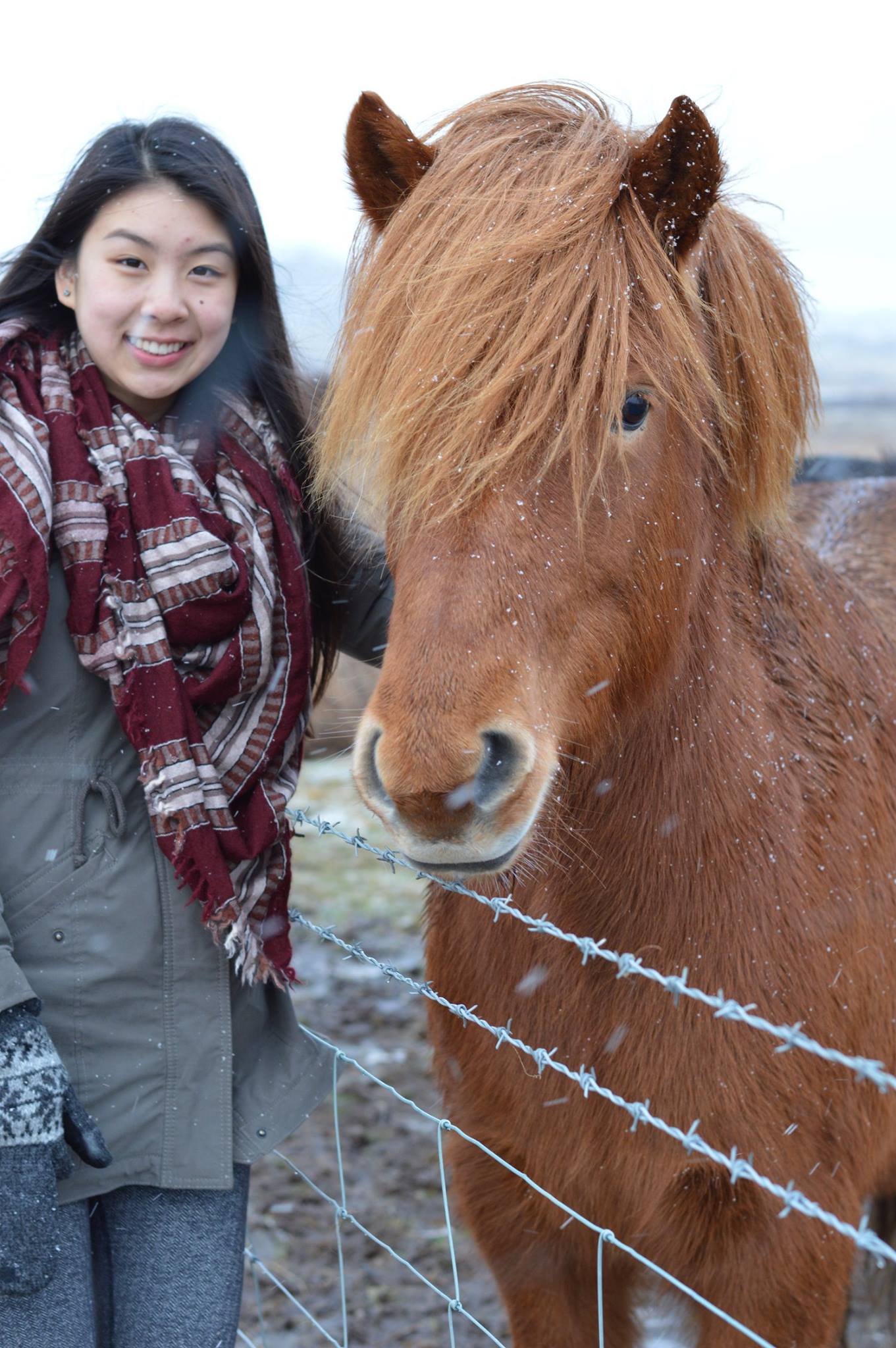 A Weekend Getaway to Iceland