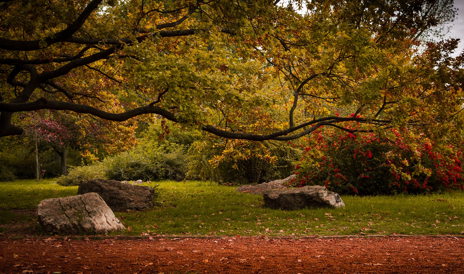 Városliget Park City Park Green Budapest Garden Nature Walk Local Experience