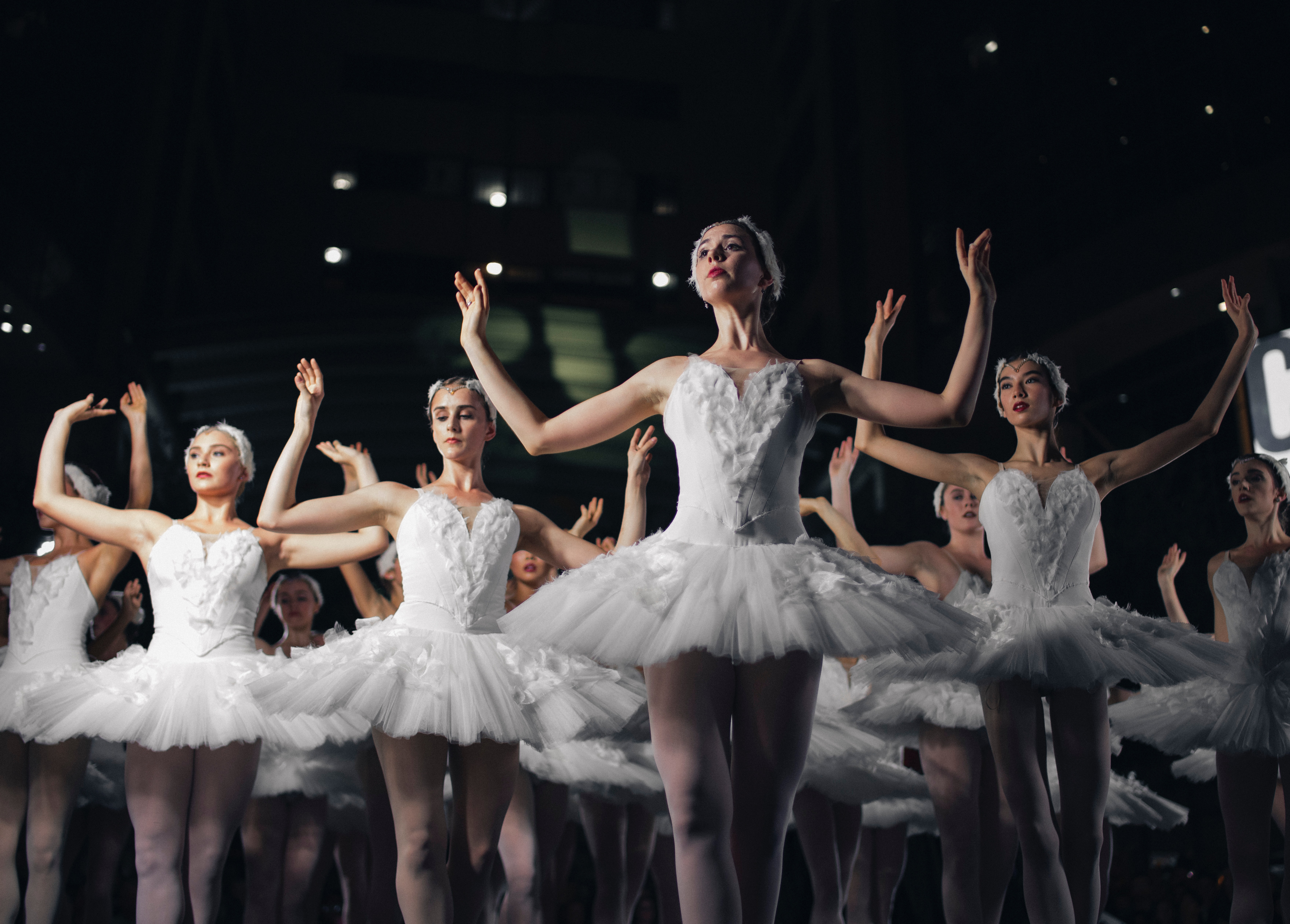 swan lake virtual ballet performance stage culture experience home local authentic localbini biniblog travel