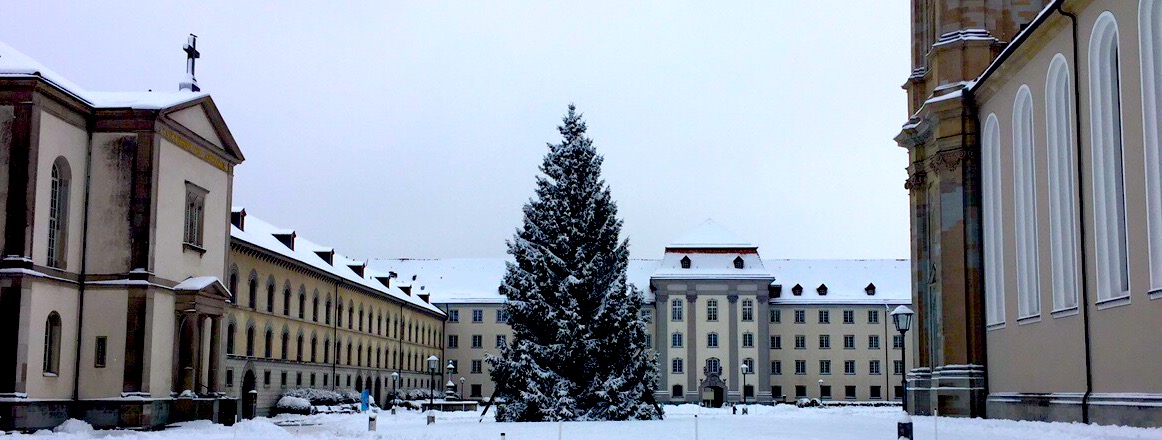 St Gallen Switzerland City of Stars, Festive, Christmas, Europe, Market, Christmas Tree, Snow, Snowy Hikes, Festive