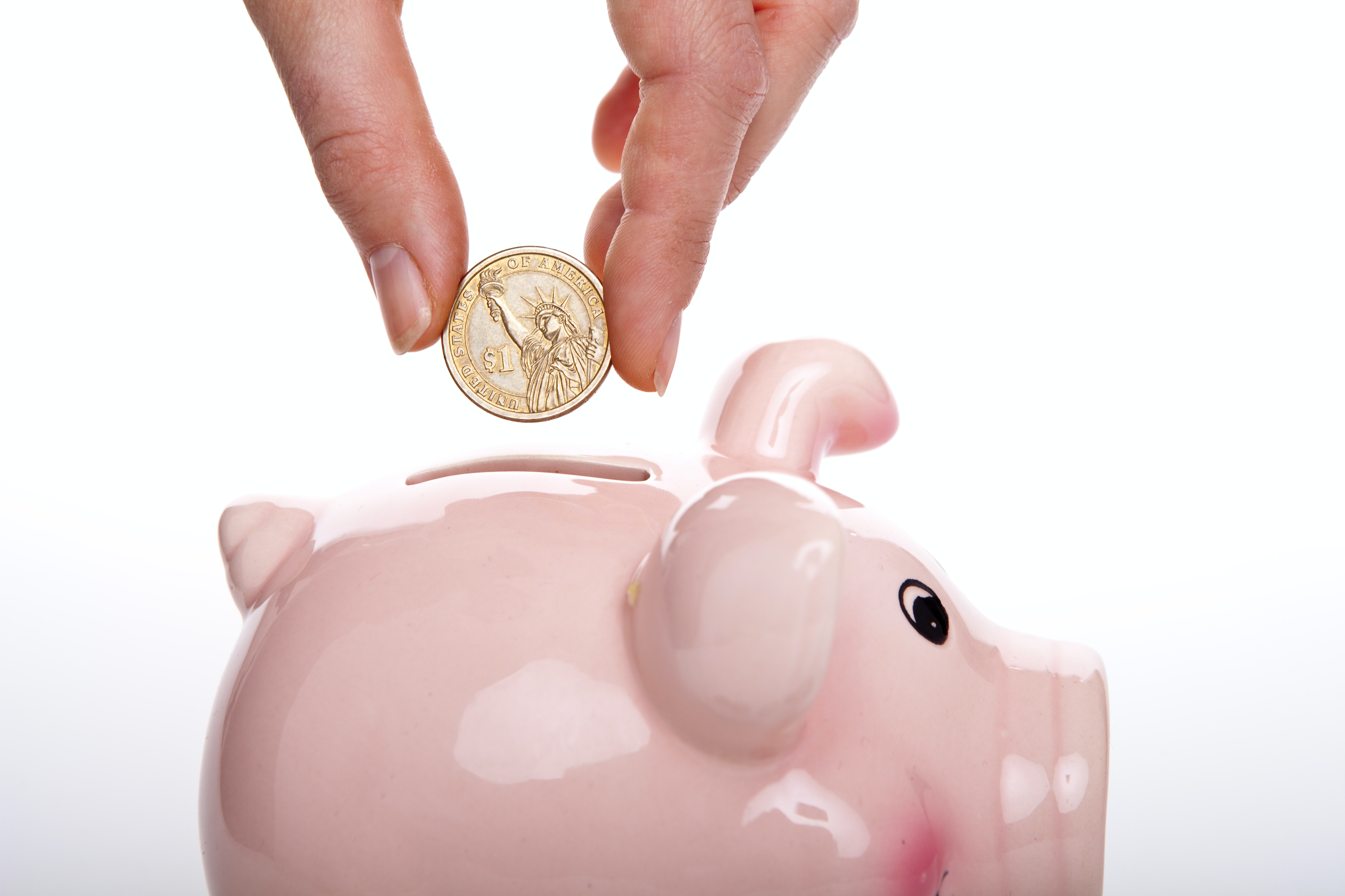 piggy bank, money, savings, holiday, pig, coin , travel, budget, local