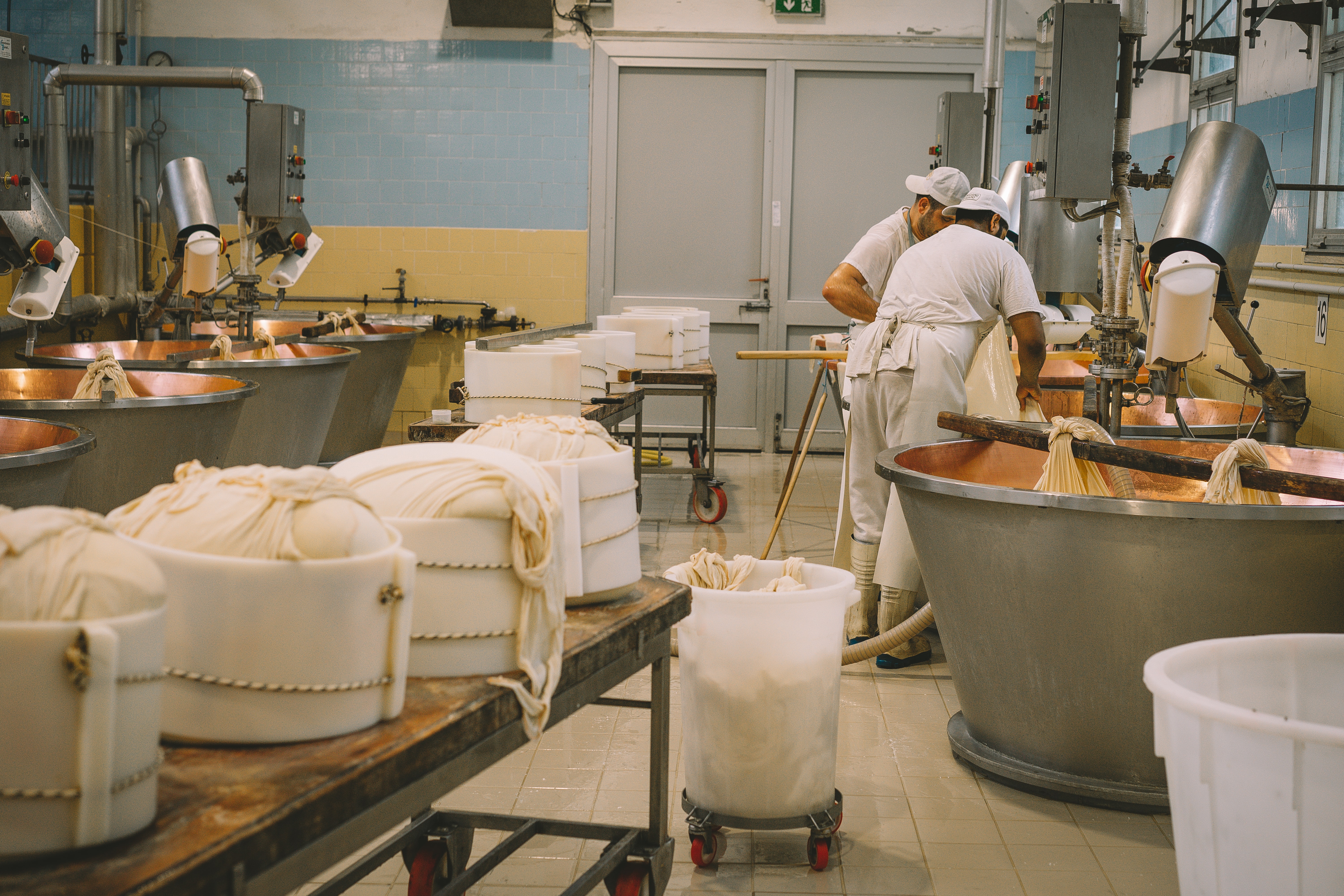 LocalBini, BiniBlog, Authentic, Local, Travel, Experience, Parmesan, Parmigiano, Factory, Cheese, Italy