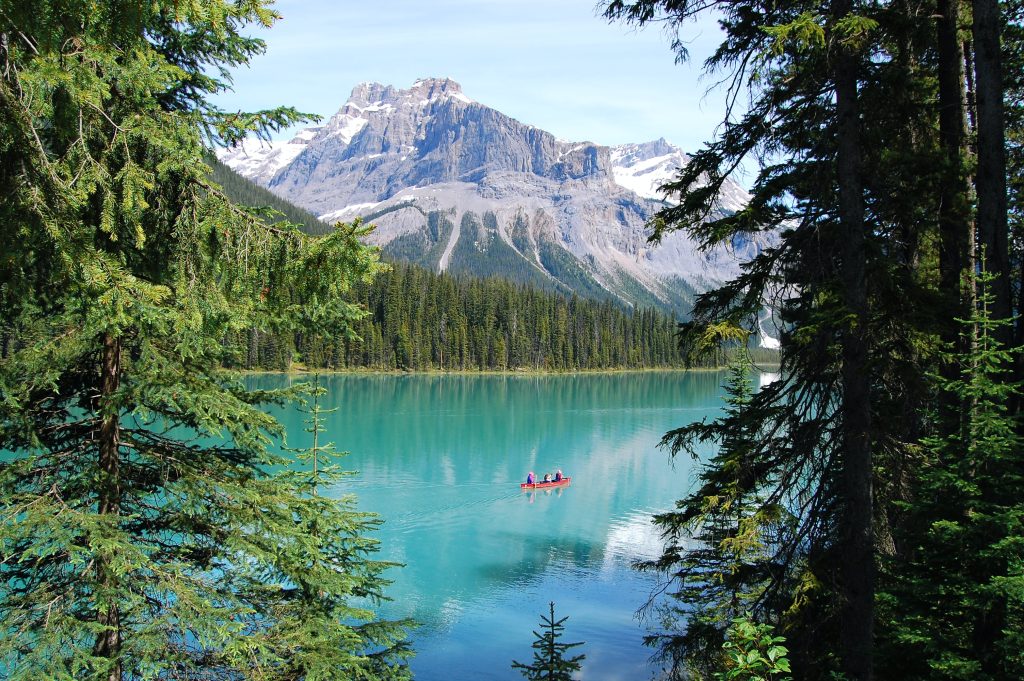 Switzerland, lake, holiday, adventure, LocalBini, BiniBlog, summer, holiday, ideas, swimmer, boat, blue lake, trees, nature