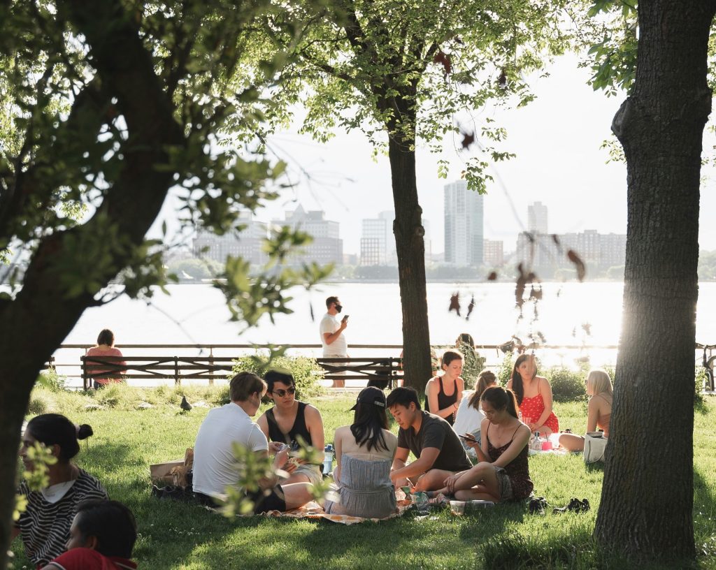 picnic, friends, Europe, summer, heatwave, park, localbini, biniblog, travel, experience