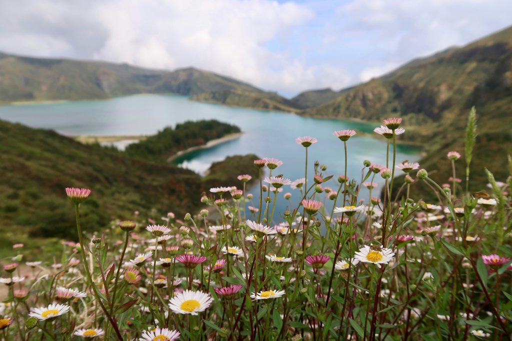 Azores lake surrounded by flowers