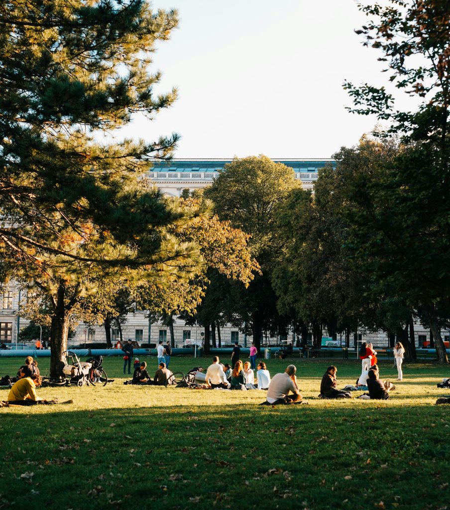 picnic in the park on a sunny day